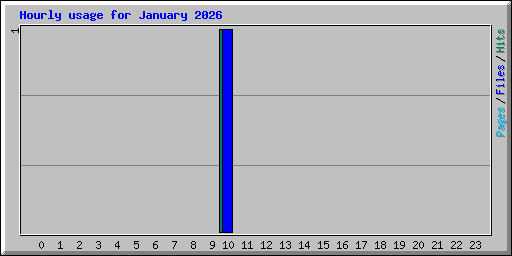Hourly usage for January 2026