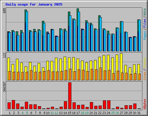Daily usage for January 2025