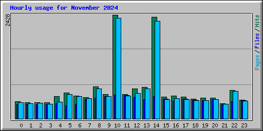Hourly usage for November 2024
