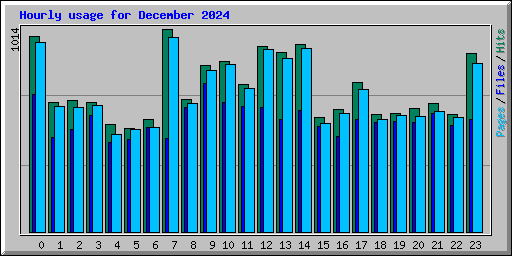 Hourly usage for December 2024