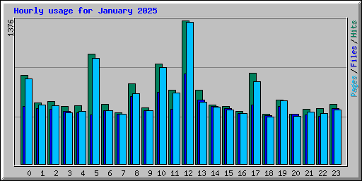 Hourly usage for January 2025