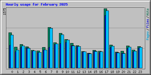 Hourly usage for February 2025