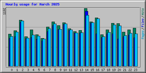 Hourly usage for March 2025