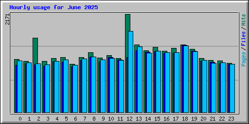 Hourly usage for June 2025