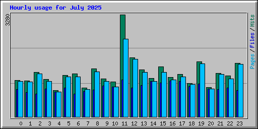 Hourly usage for July 2025