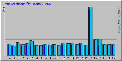 Hourly usage for August 2025