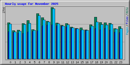 Hourly usage for November 2025