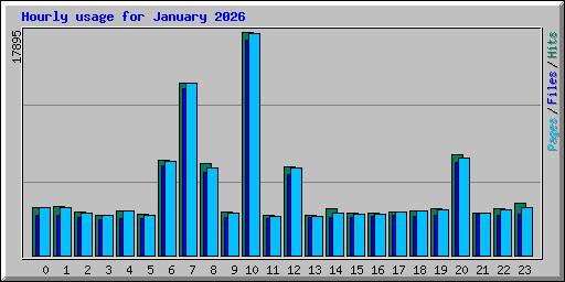 Hourly usage for January 2026