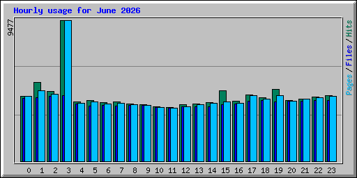 Hourly usage for June 2026