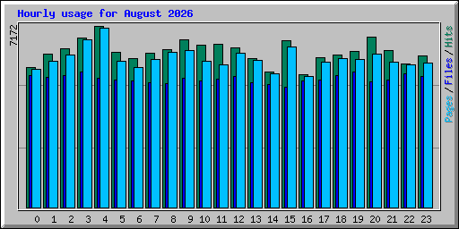 Hourly usage for August 2026